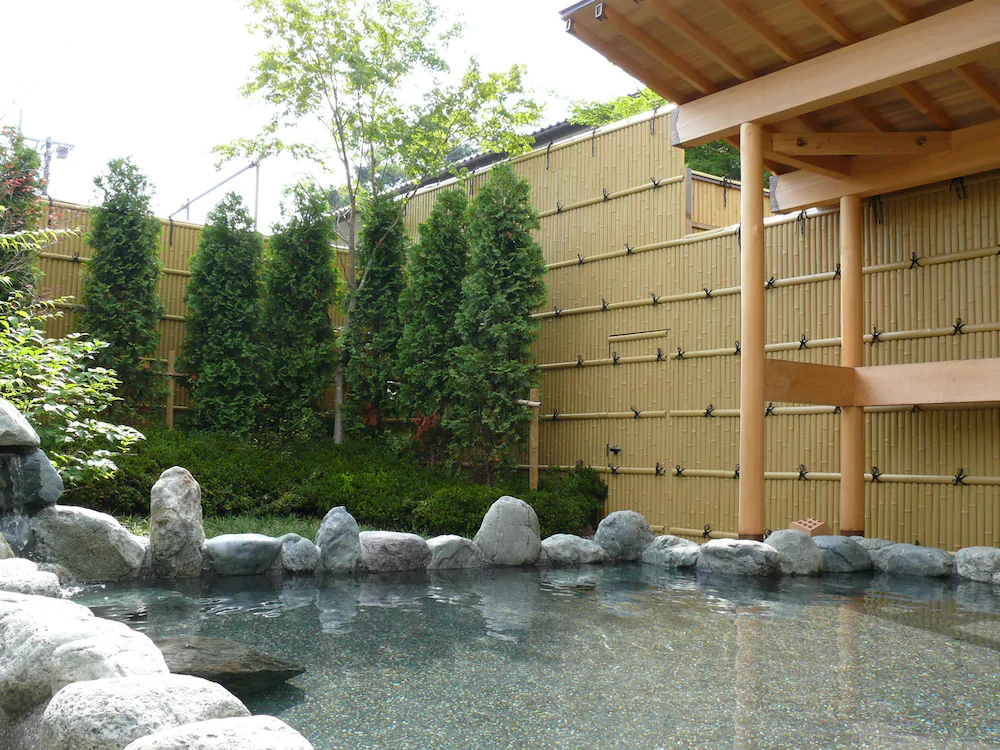Fuji Matsuzono Hotel