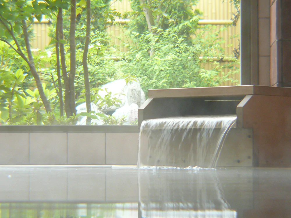 Fuji Matsuzono Hotel