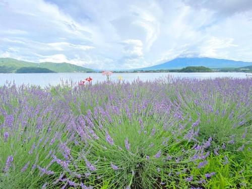 Fuji Yamanakako Resort Hotel by Vacation STAY