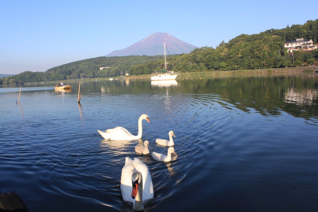 Inter Resort Azumaya