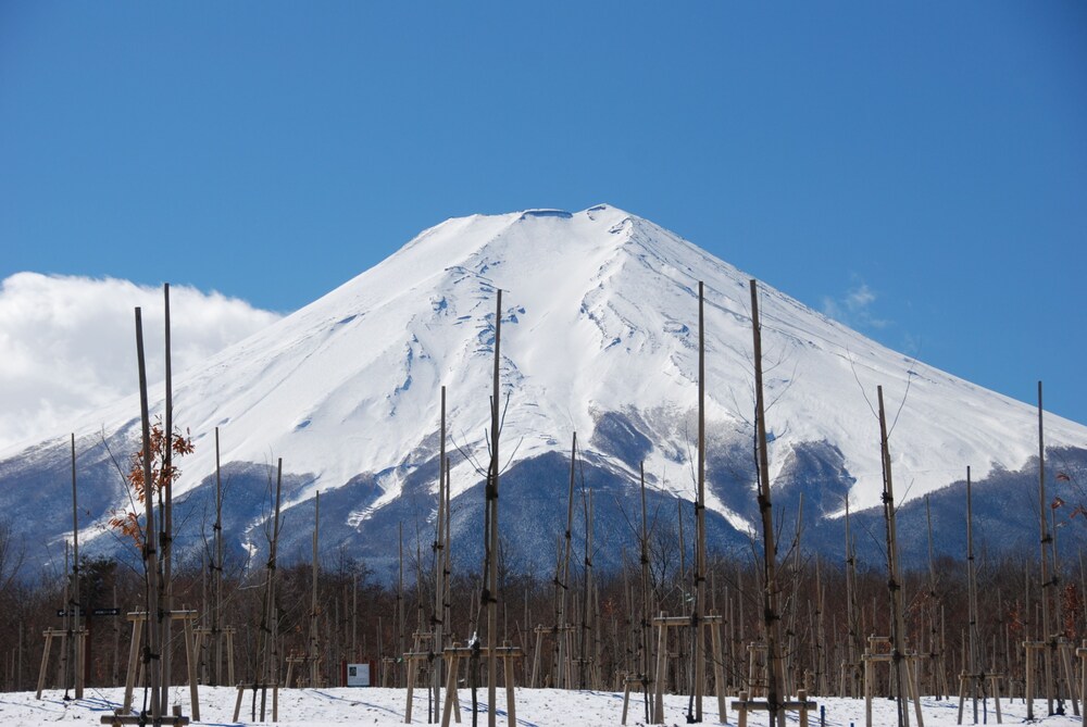 Minshuku Yamanouchi