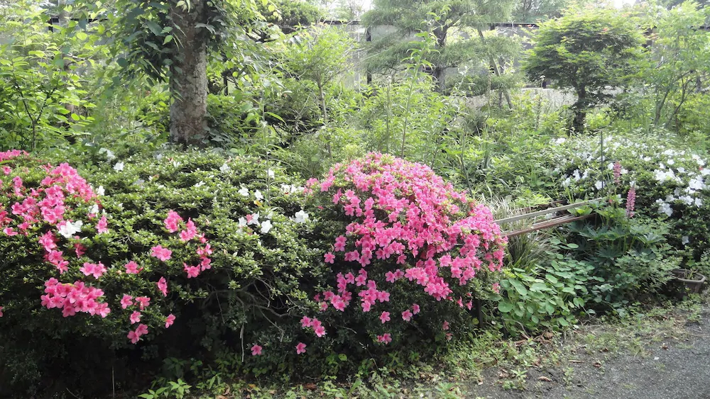 Minshuku Yamanouchi
