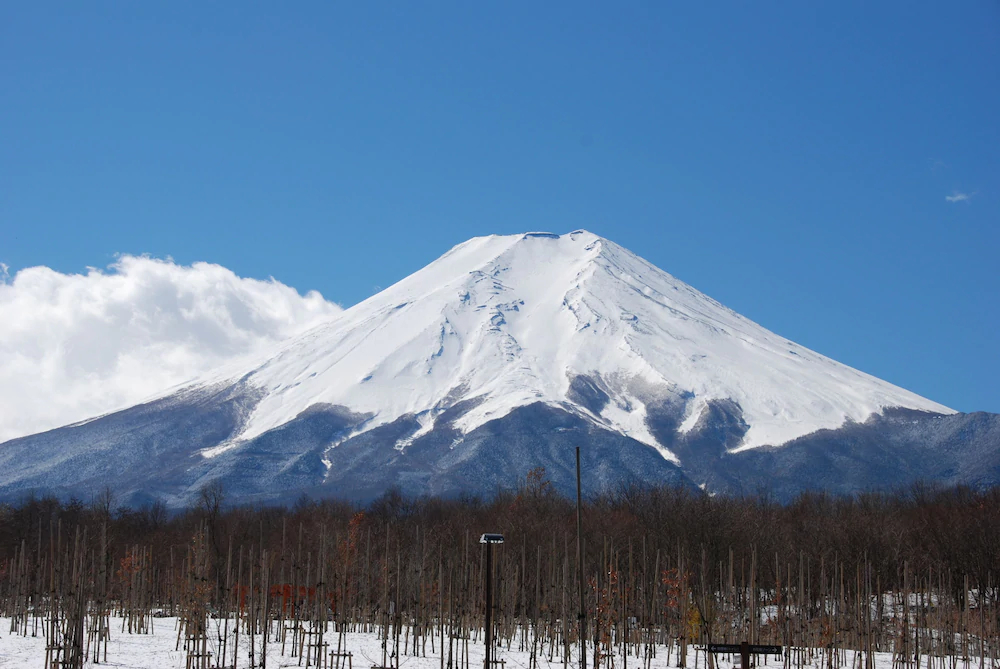 Minshuku Yamanouchi