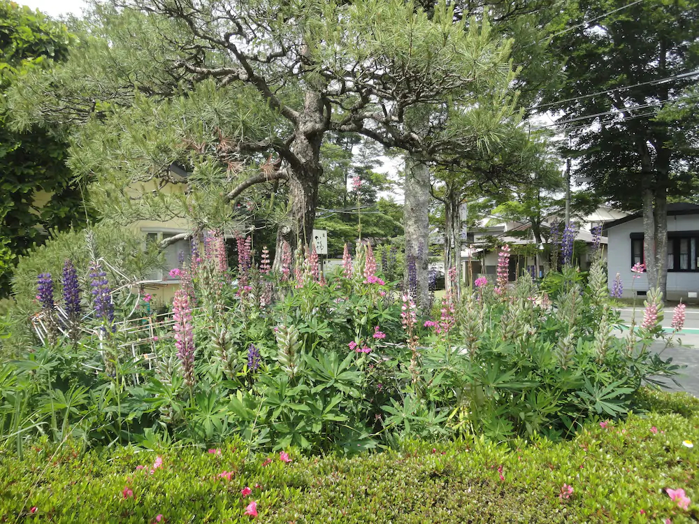 Minshuku Yamanouchi