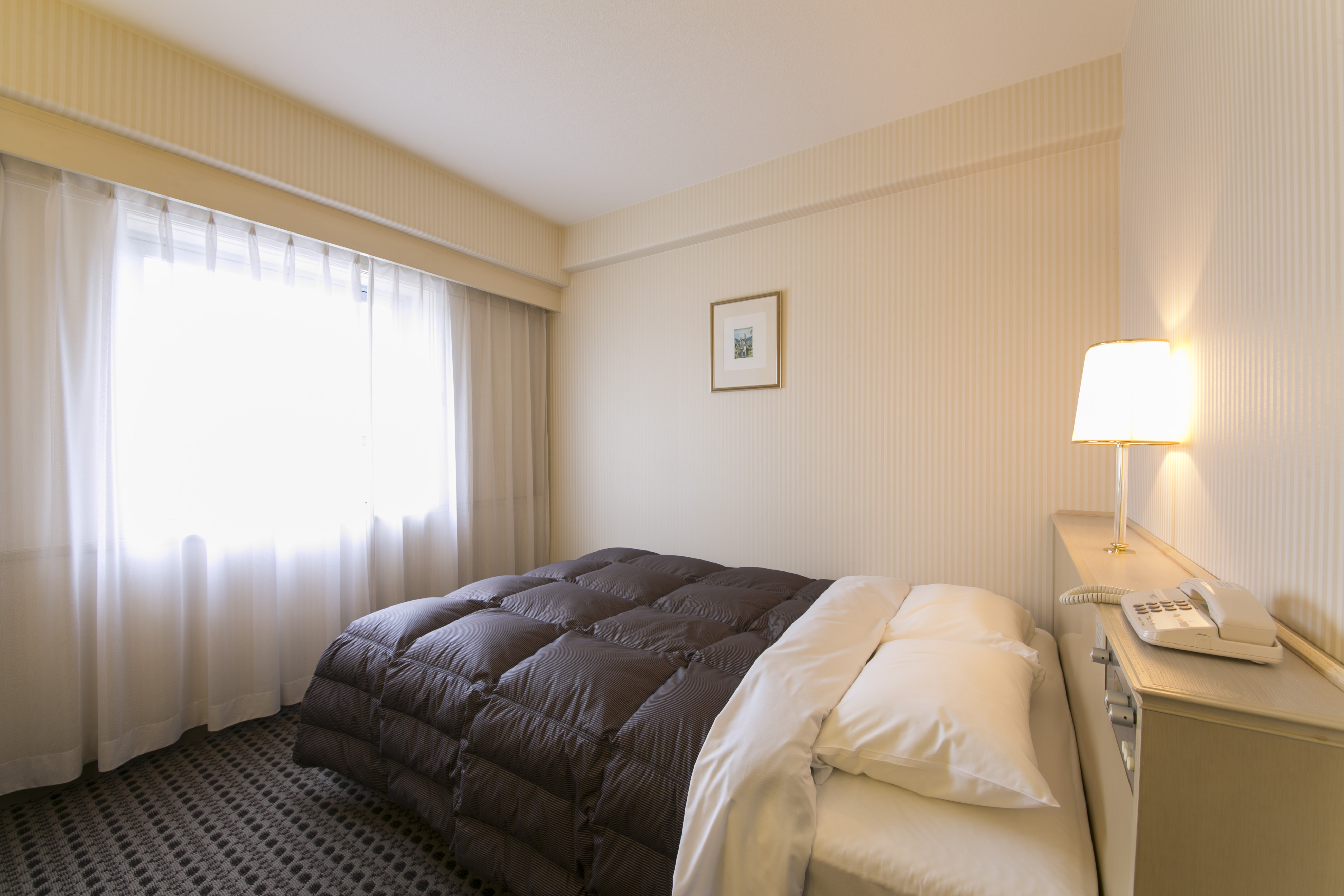 Yonago Washington Hotel Plaza