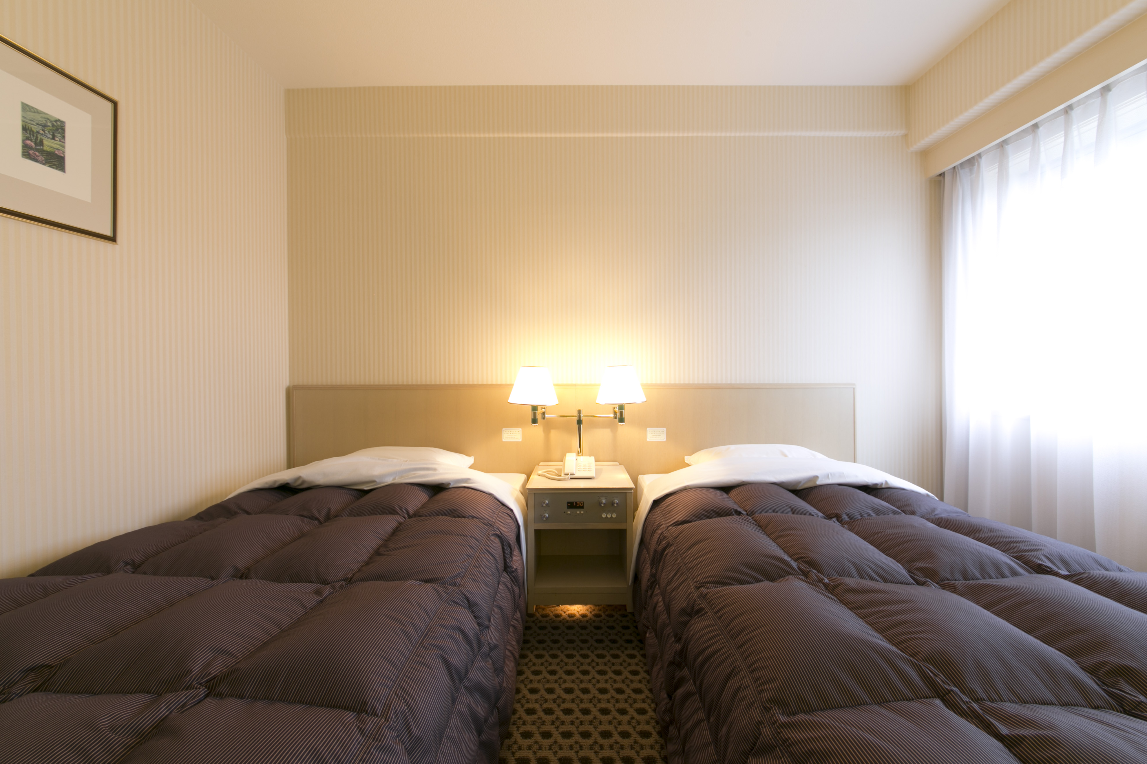 Yonago Washington Hotel Plaza