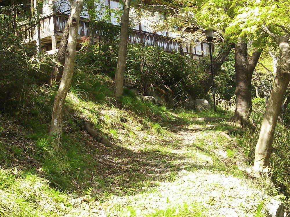 Cultural Property of Japan Senzairo