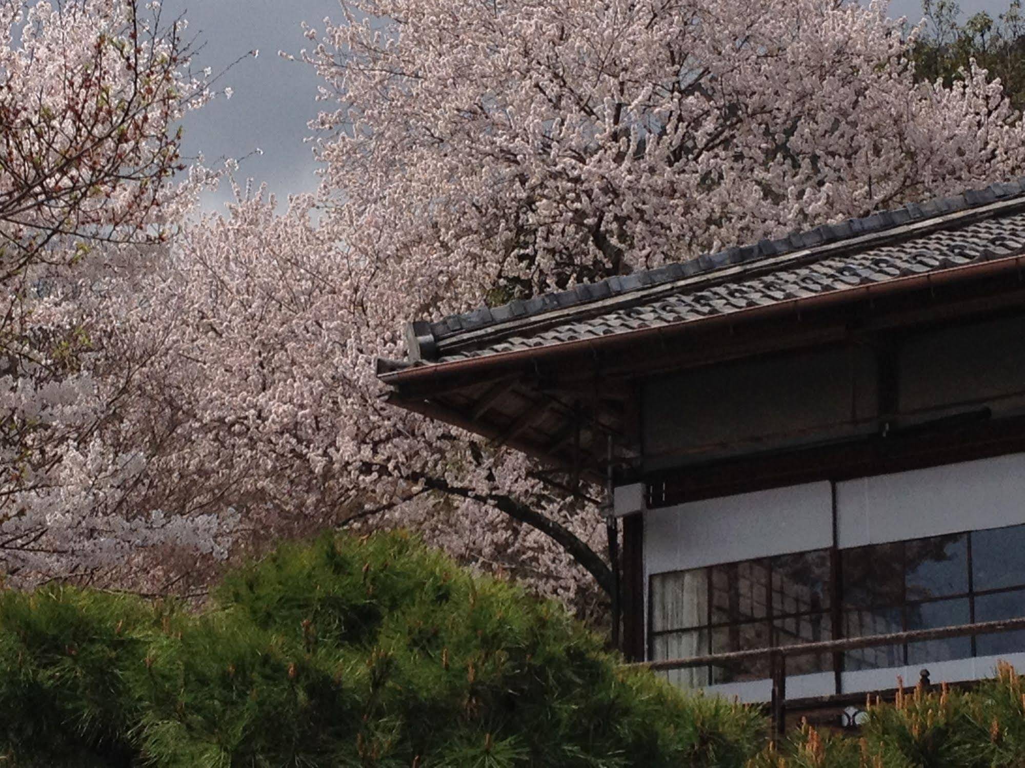 Cultural Property of Japan Senzairo