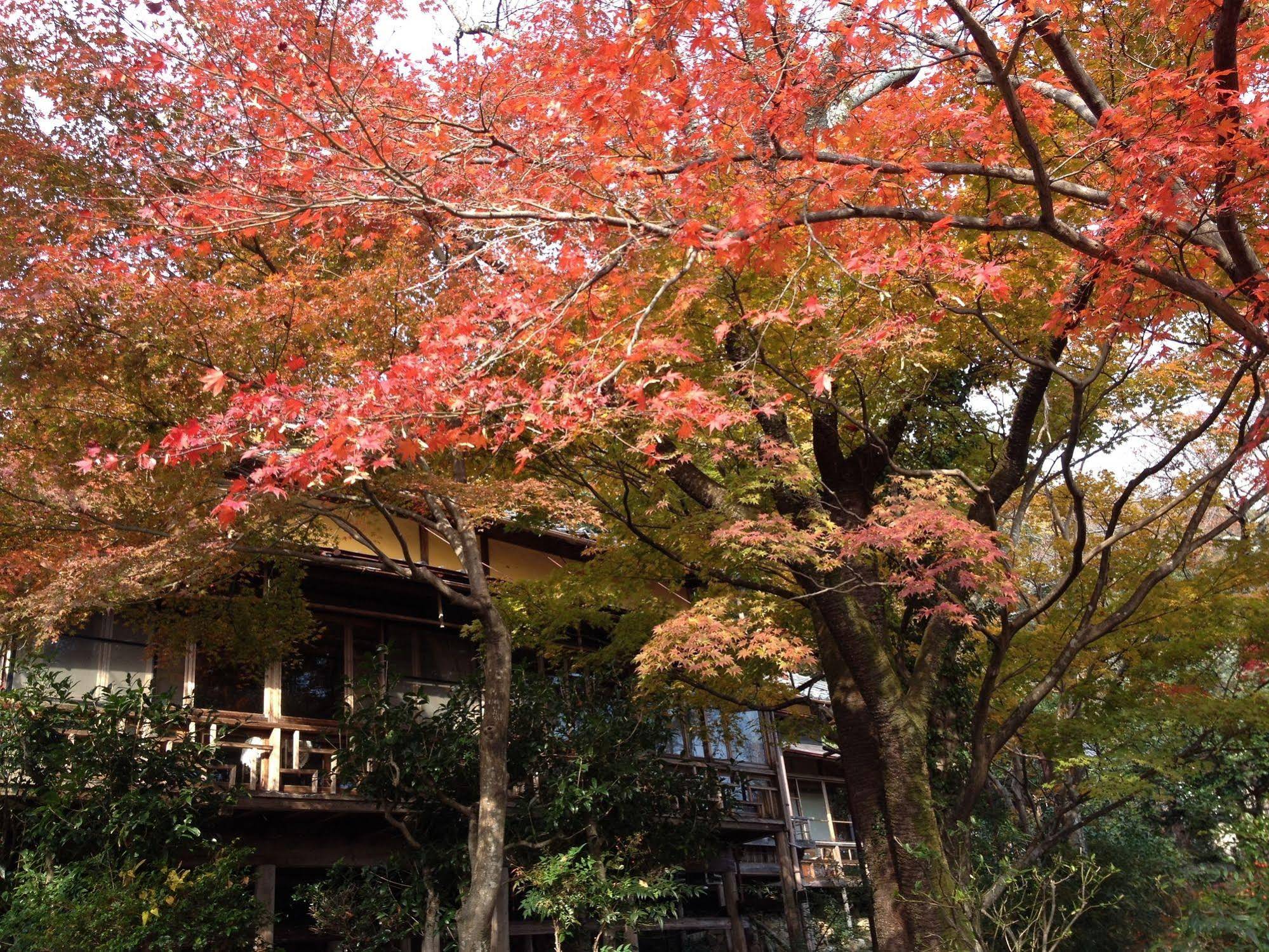 Cultural Property of Japan Senzairo