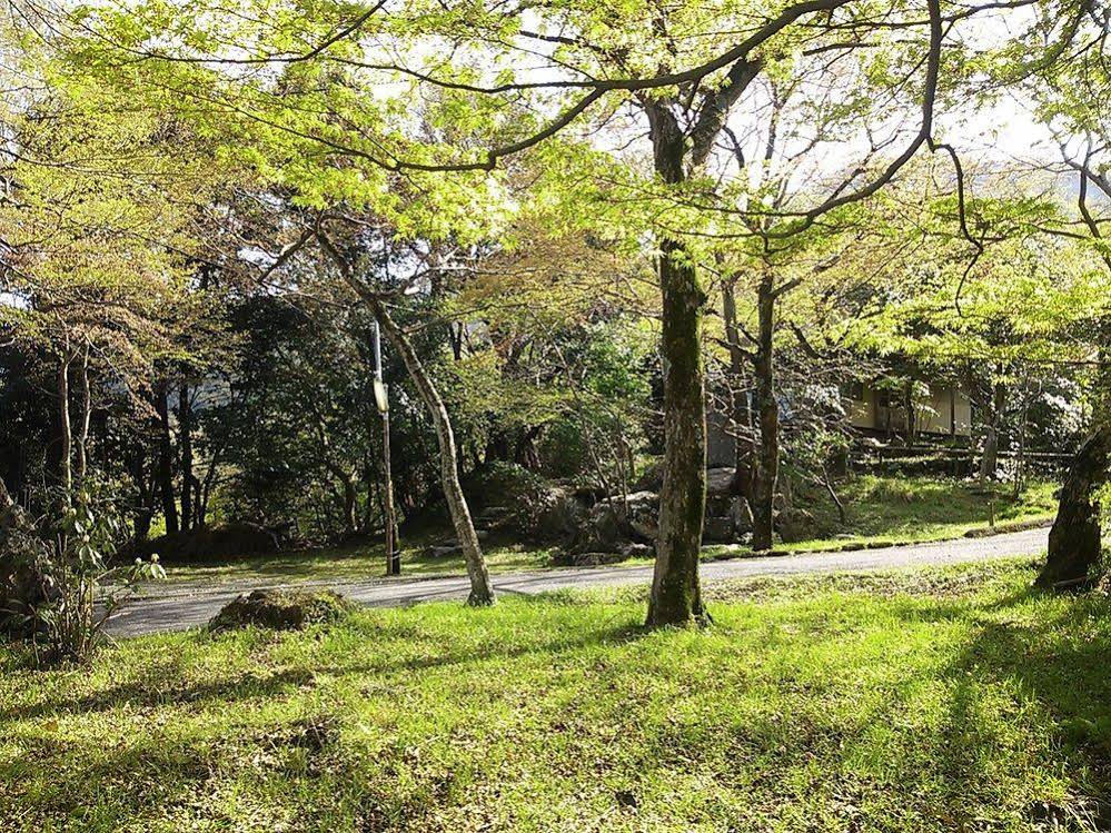 Cultural Property of Japan Senzairo