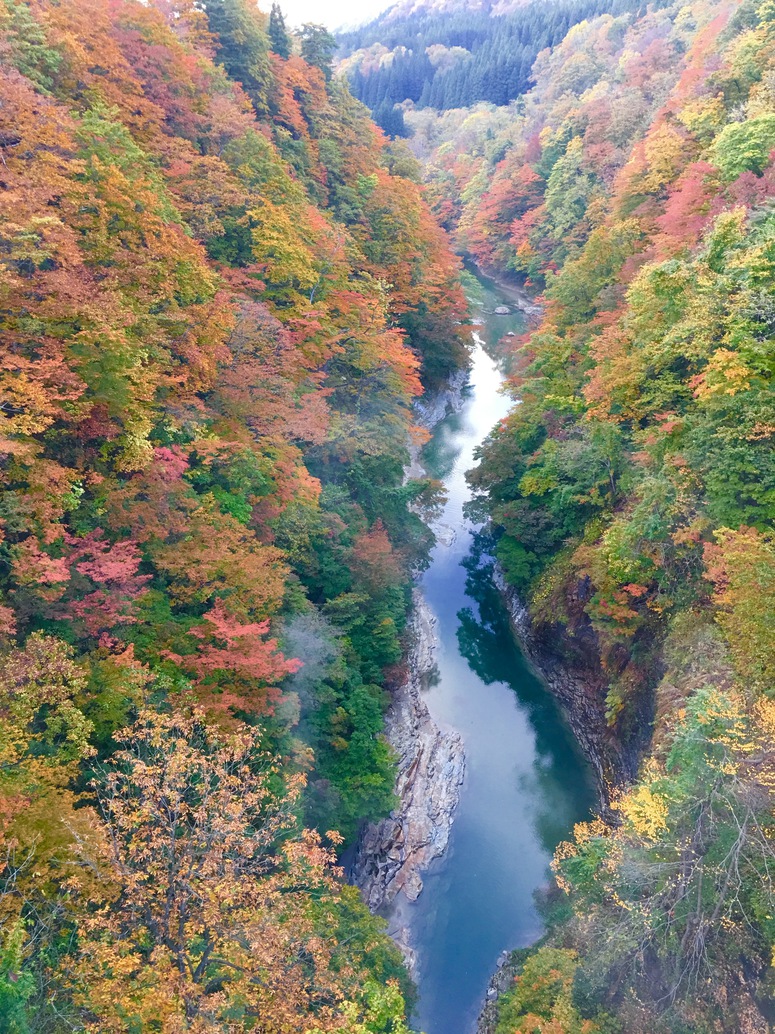 Oyasukyo Onsen Yama No Shou