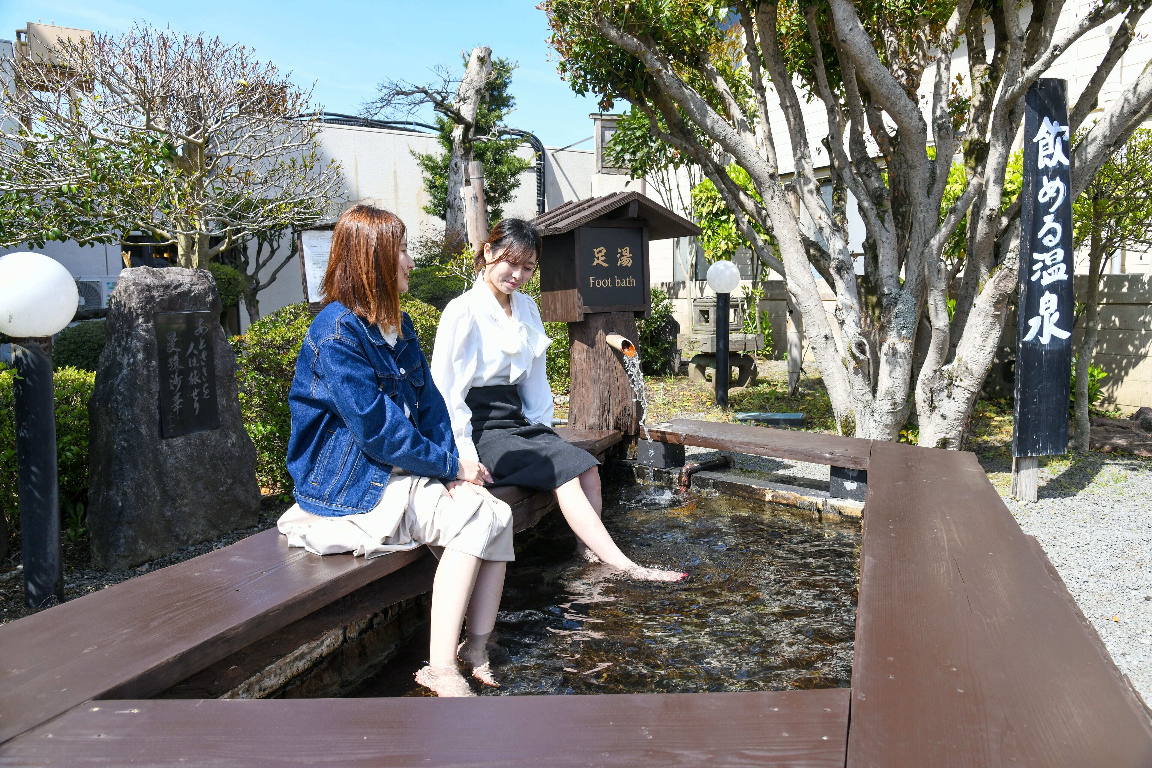 Aso Hotel Ichibankan & Nibankan