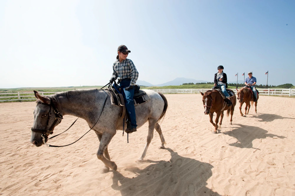 El Patio Ranch
