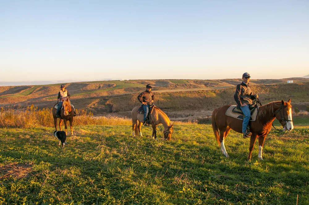 El Patio Ranch