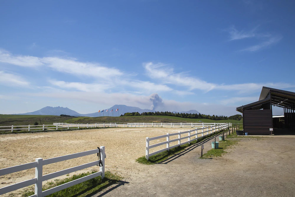 El Patio Ranch