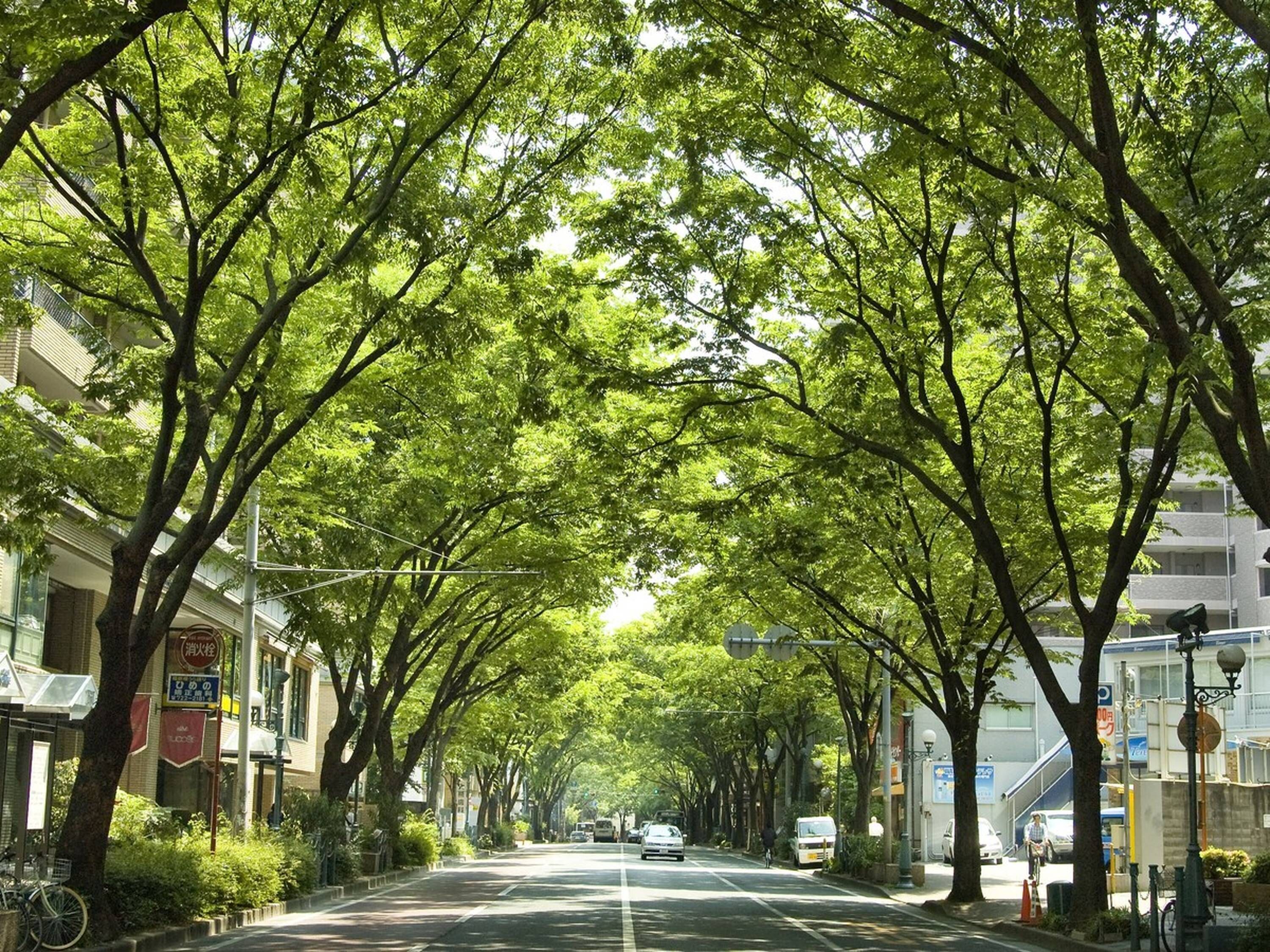 APA Hotel Hakata Eki Chikushiguchi