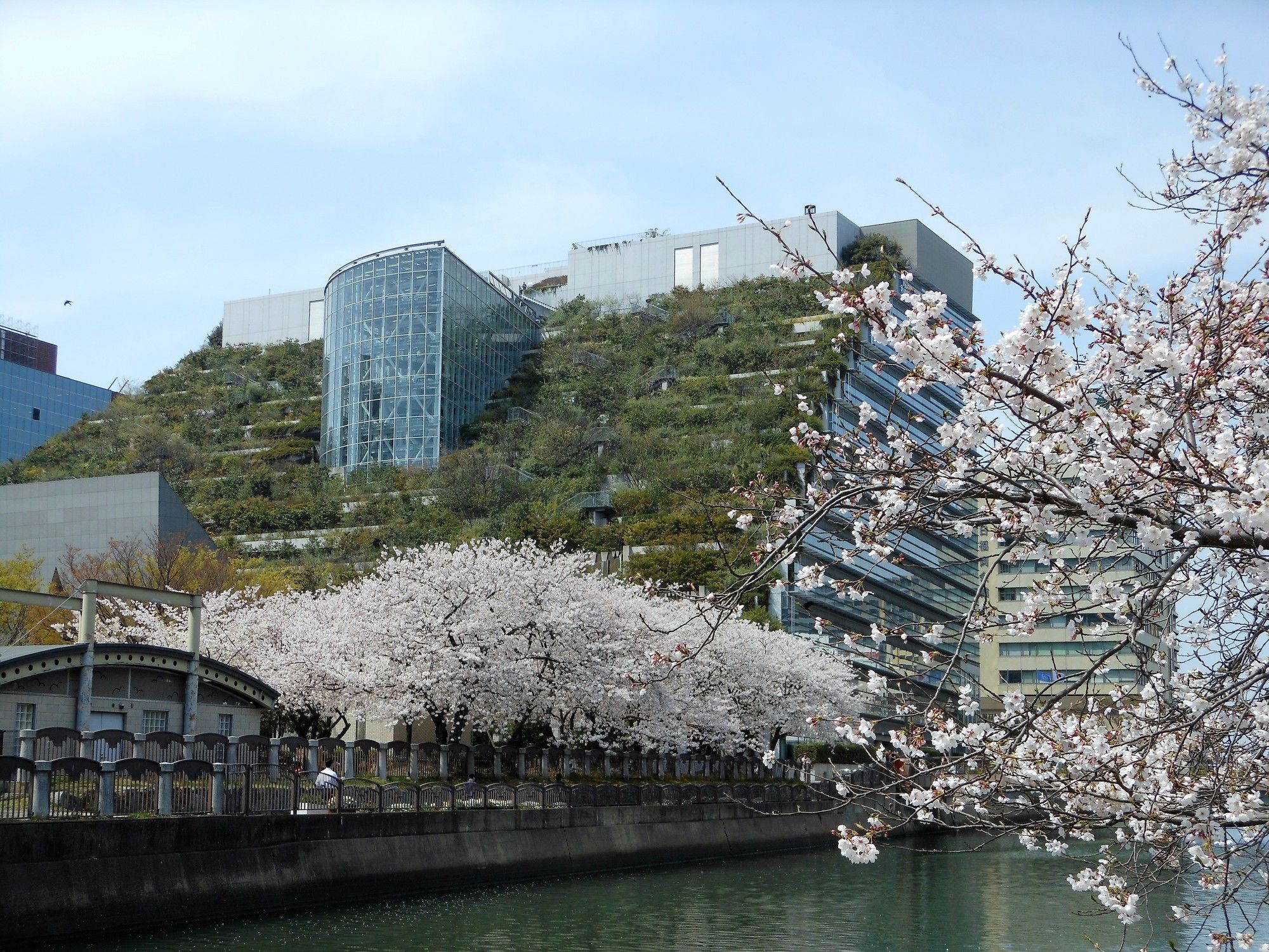 Fukuoka Floral Inn Nishinakasu