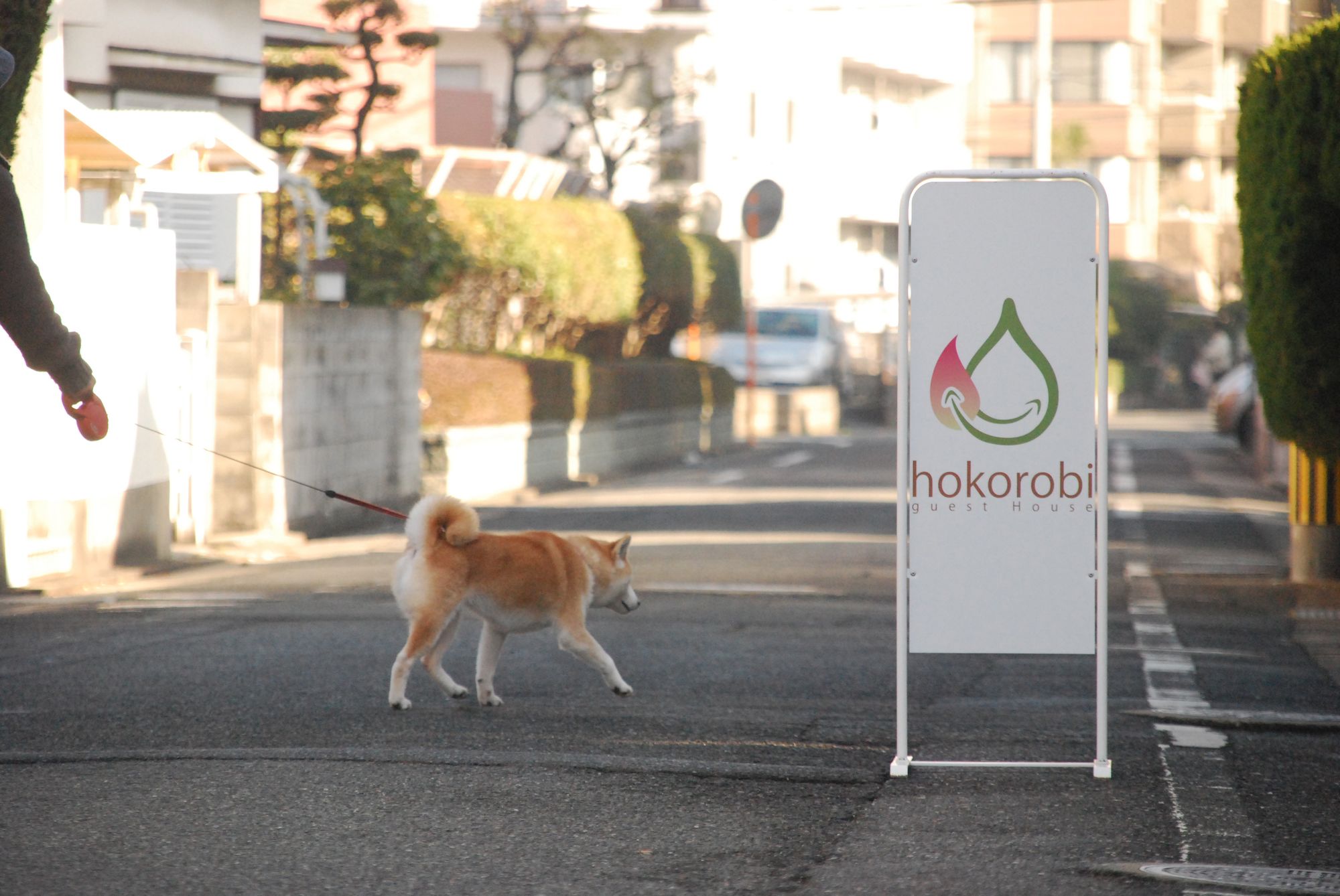 Guest House Hokorobi