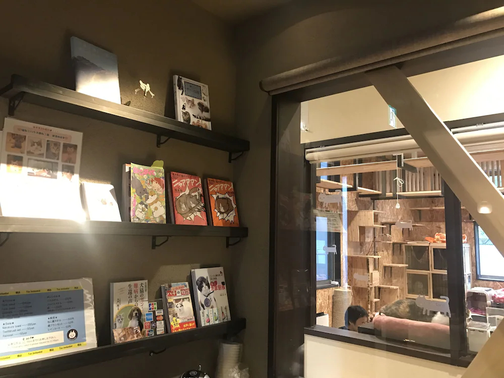 Nekokura Hostel