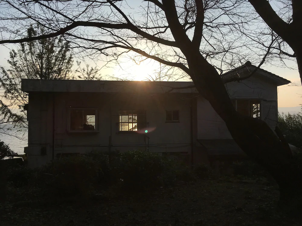 Sakura Beach Garden