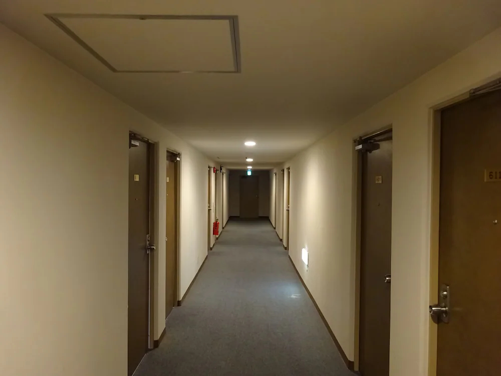 Kagoshima Daiichi Hotel Kamoike