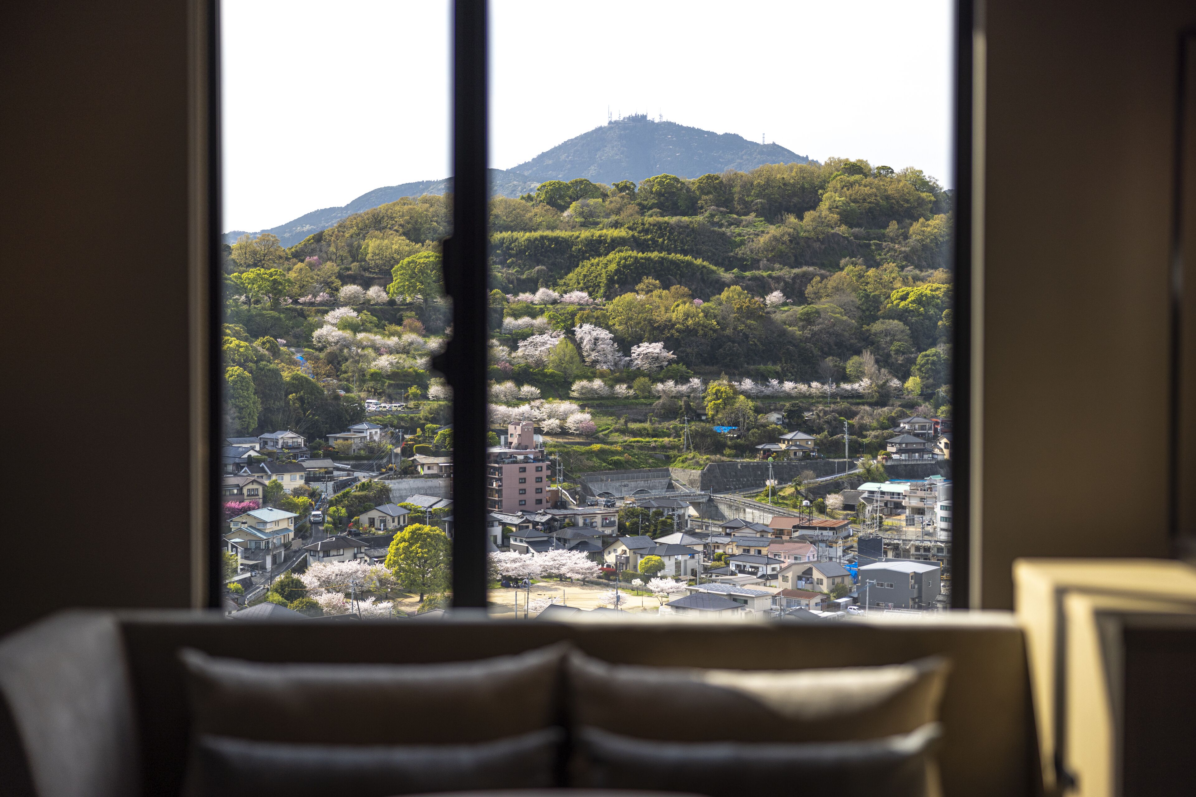 The Blossom Kumamoto