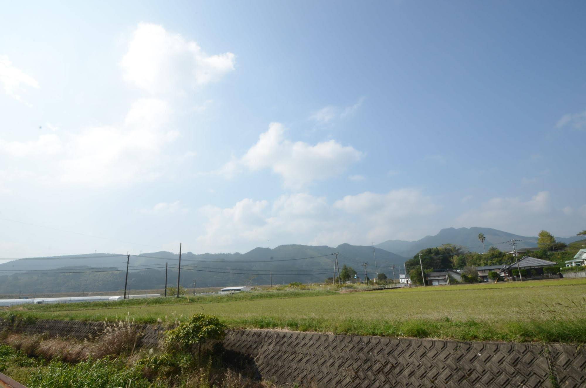 Sun Cherry Kitago