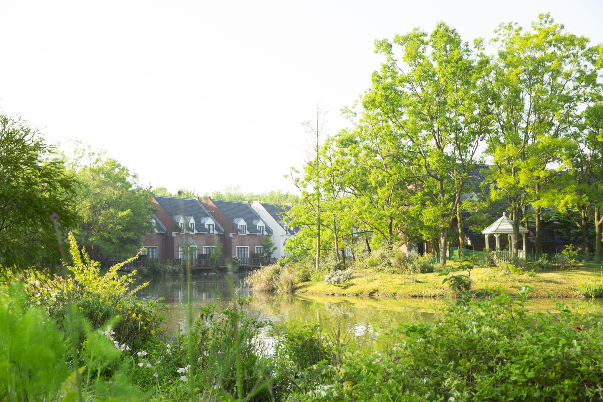 Forest Villa