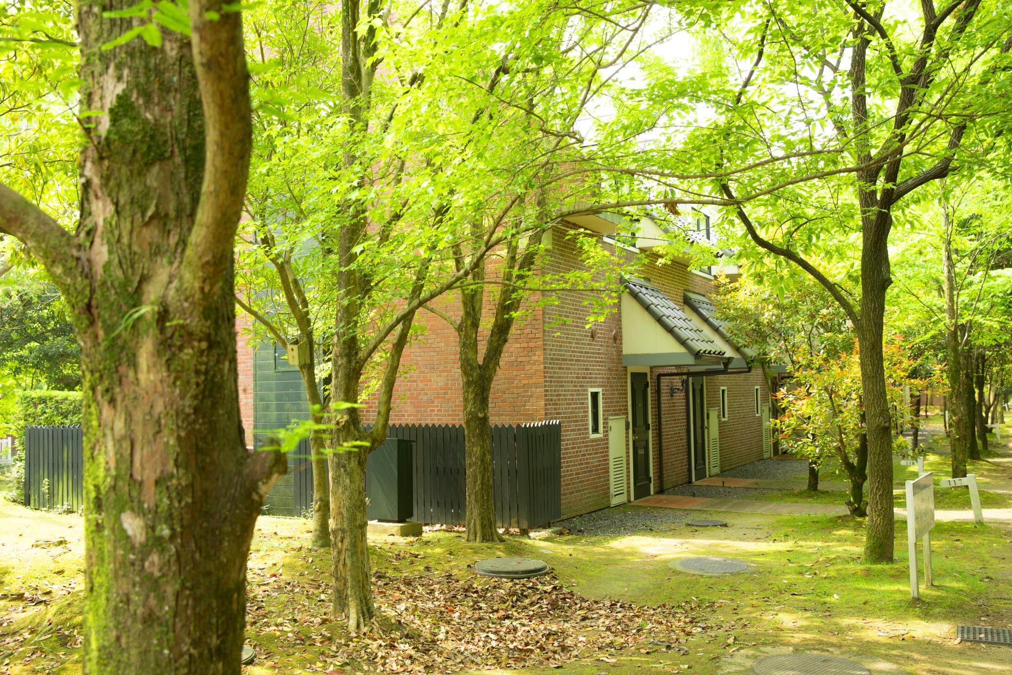Forest Villa