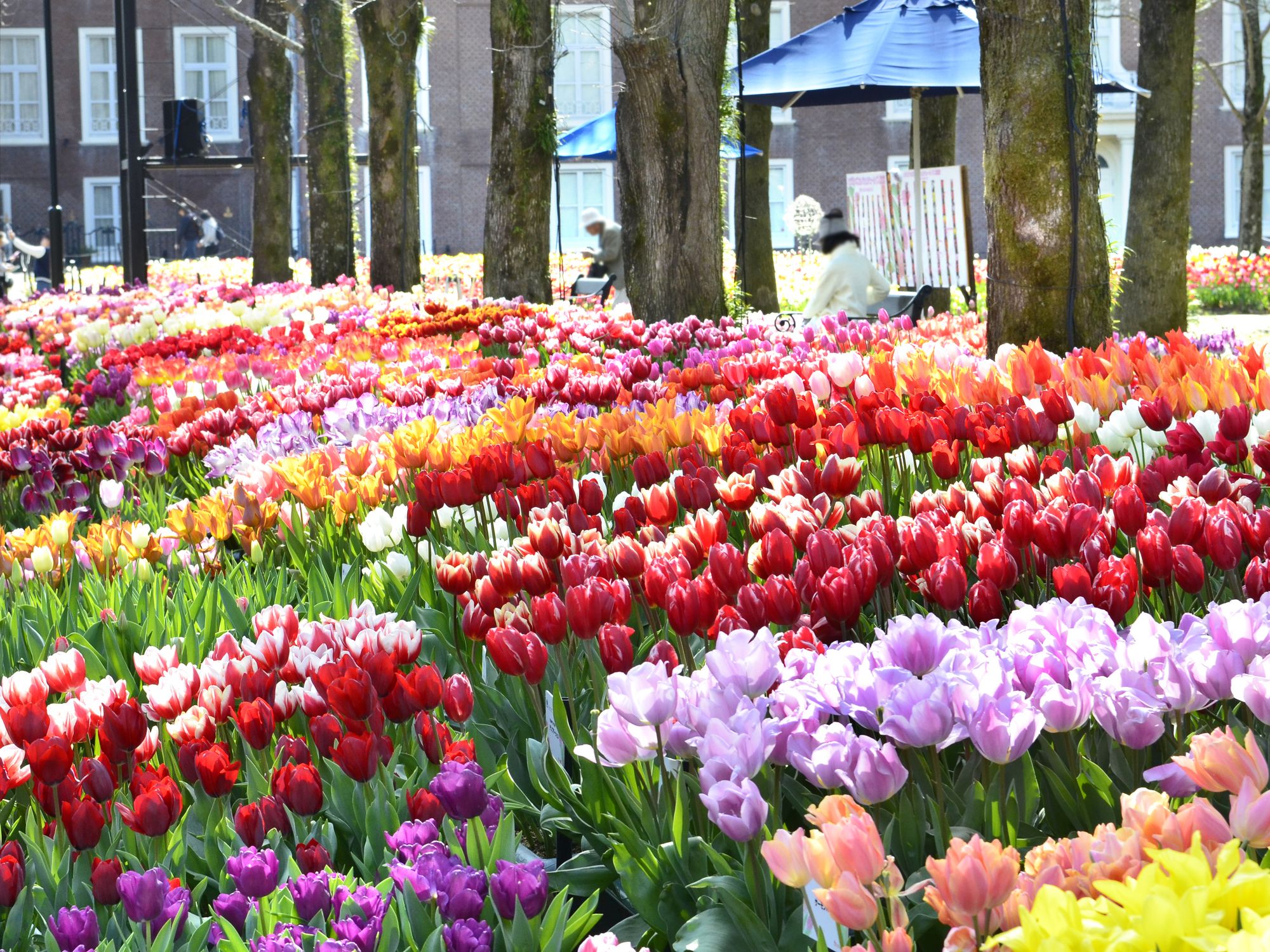 Watermark Nagasaki - Huis Ten Bosch