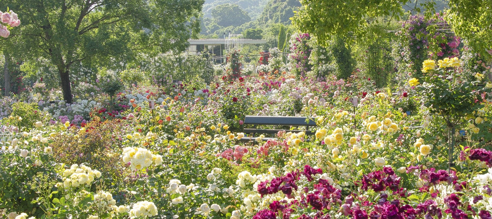 Watermark Nagasaki - Huis Ten Bosch