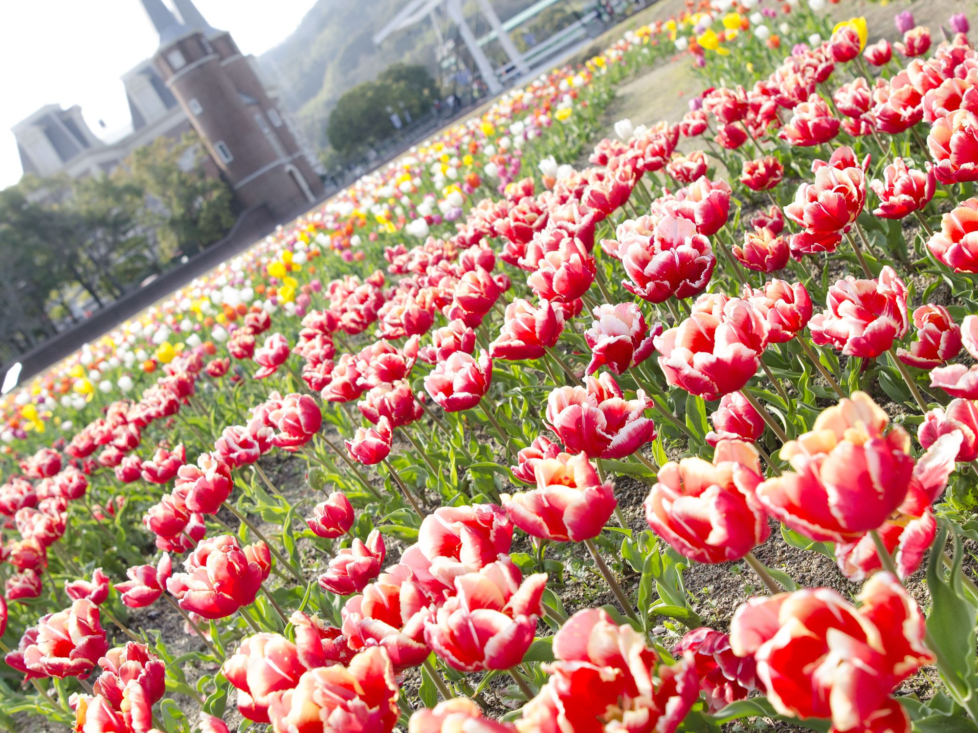 Watermark Nagasaki - Huis Ten Bosch