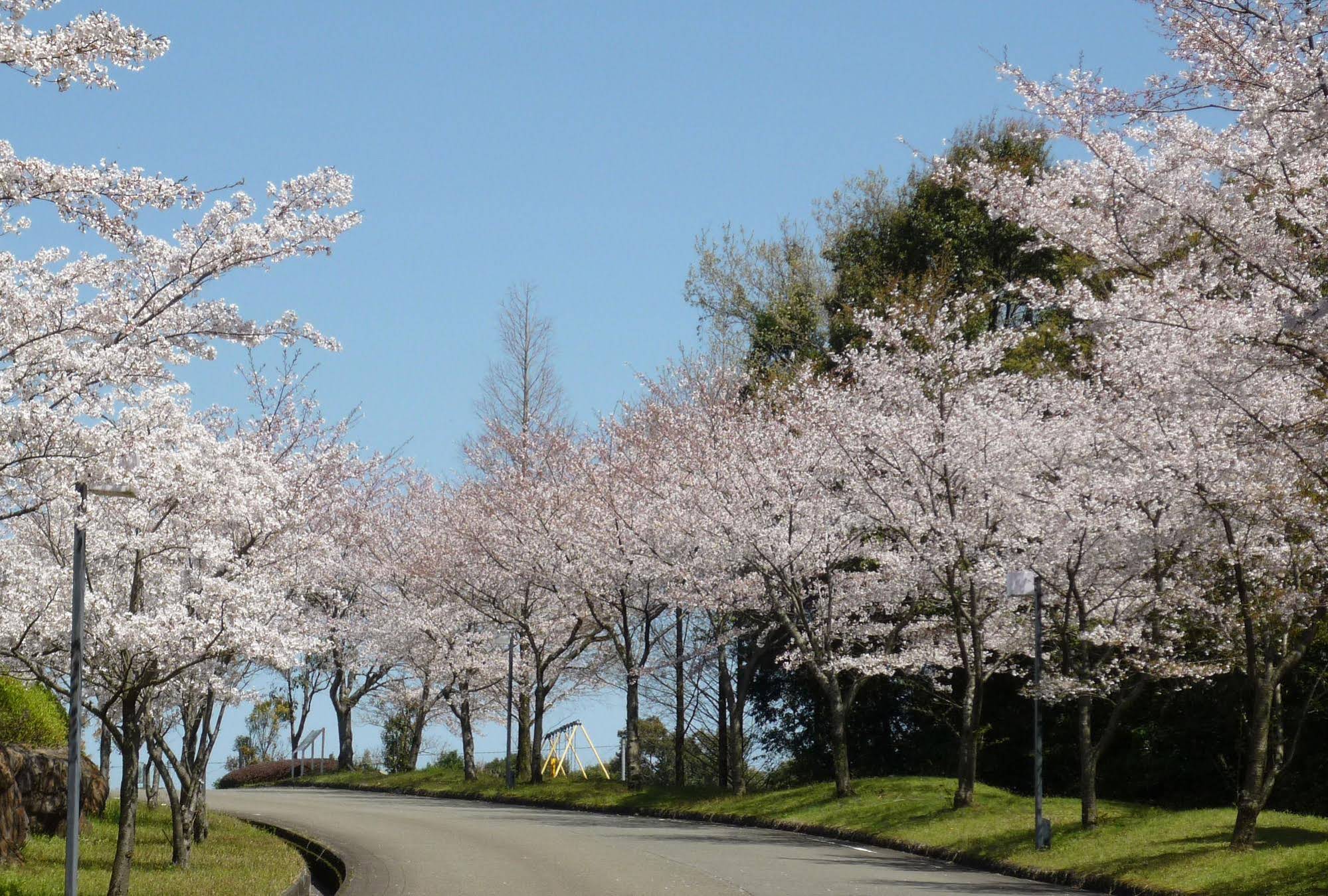 Satsuma Resort Hotel