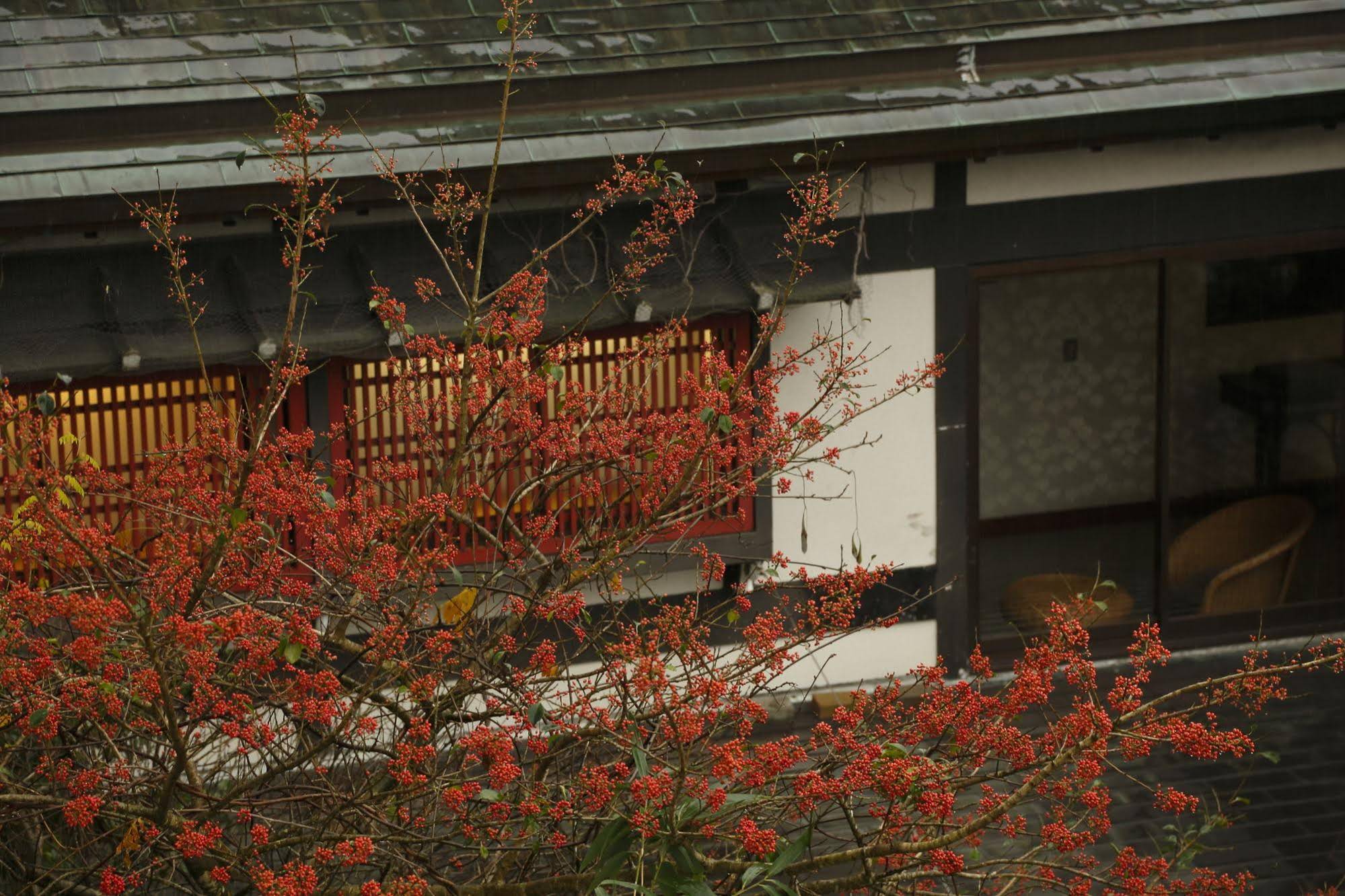 Takeo Onsen Hotel Kyotoya