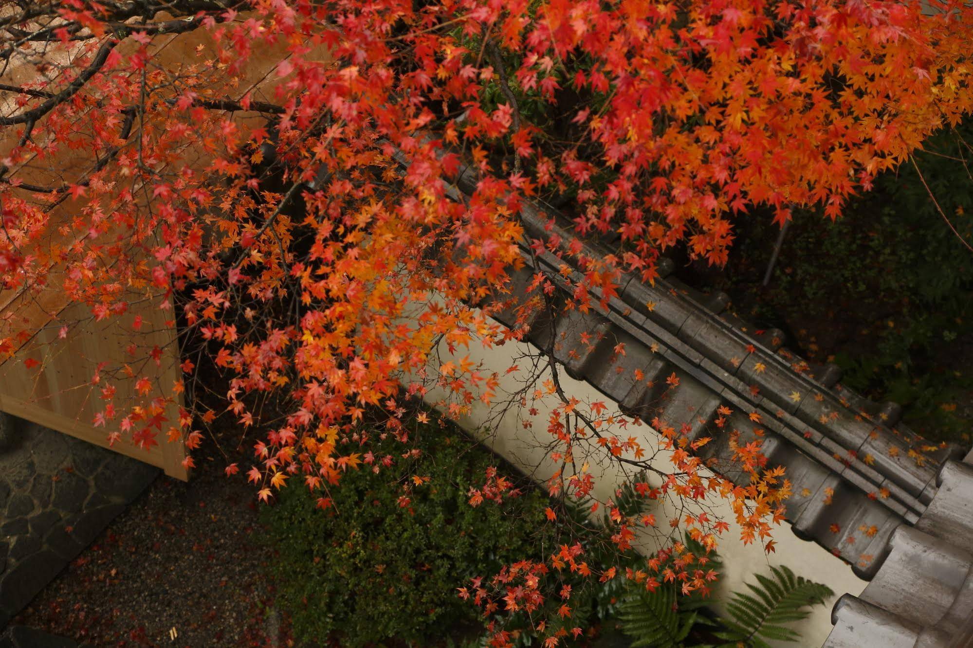 Takeo Onsen Hotel Kyotoya