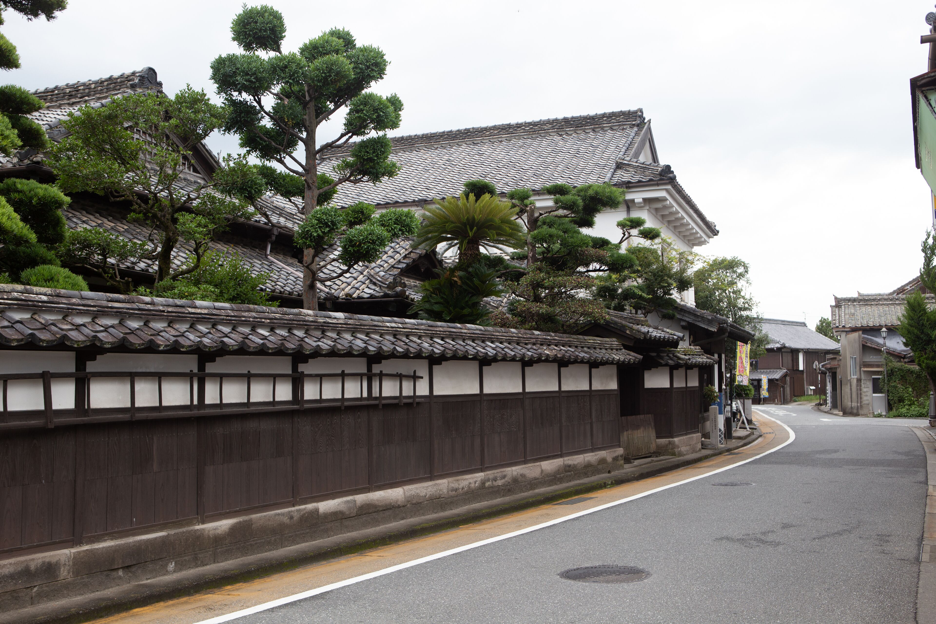 Chikugoyoshii Machiyayado Ikuha