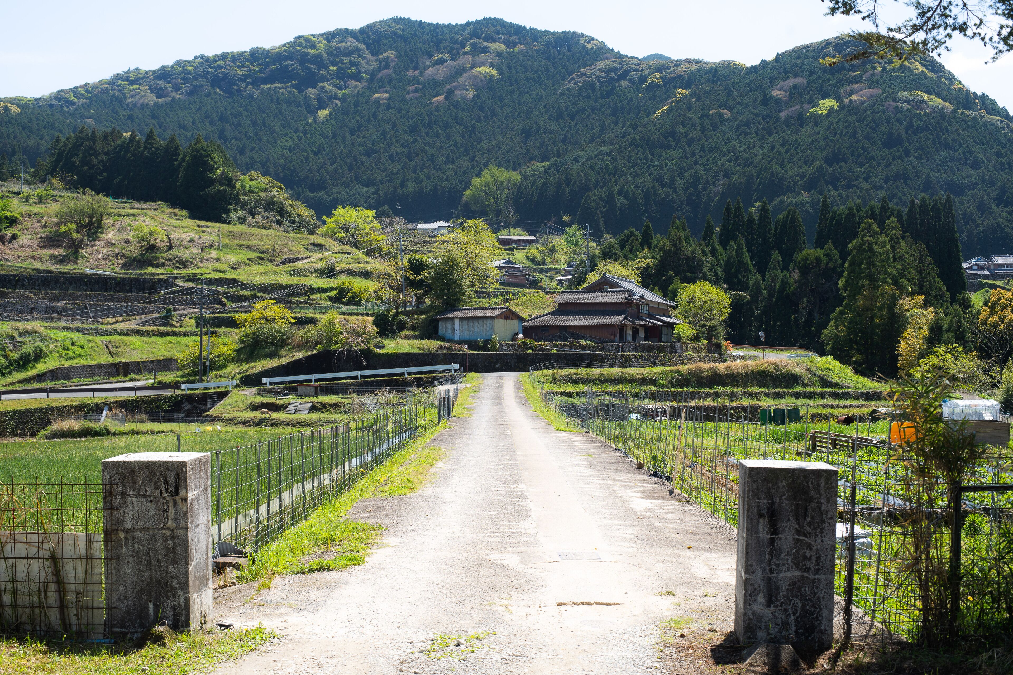 Bunkou Stay Haruhi
