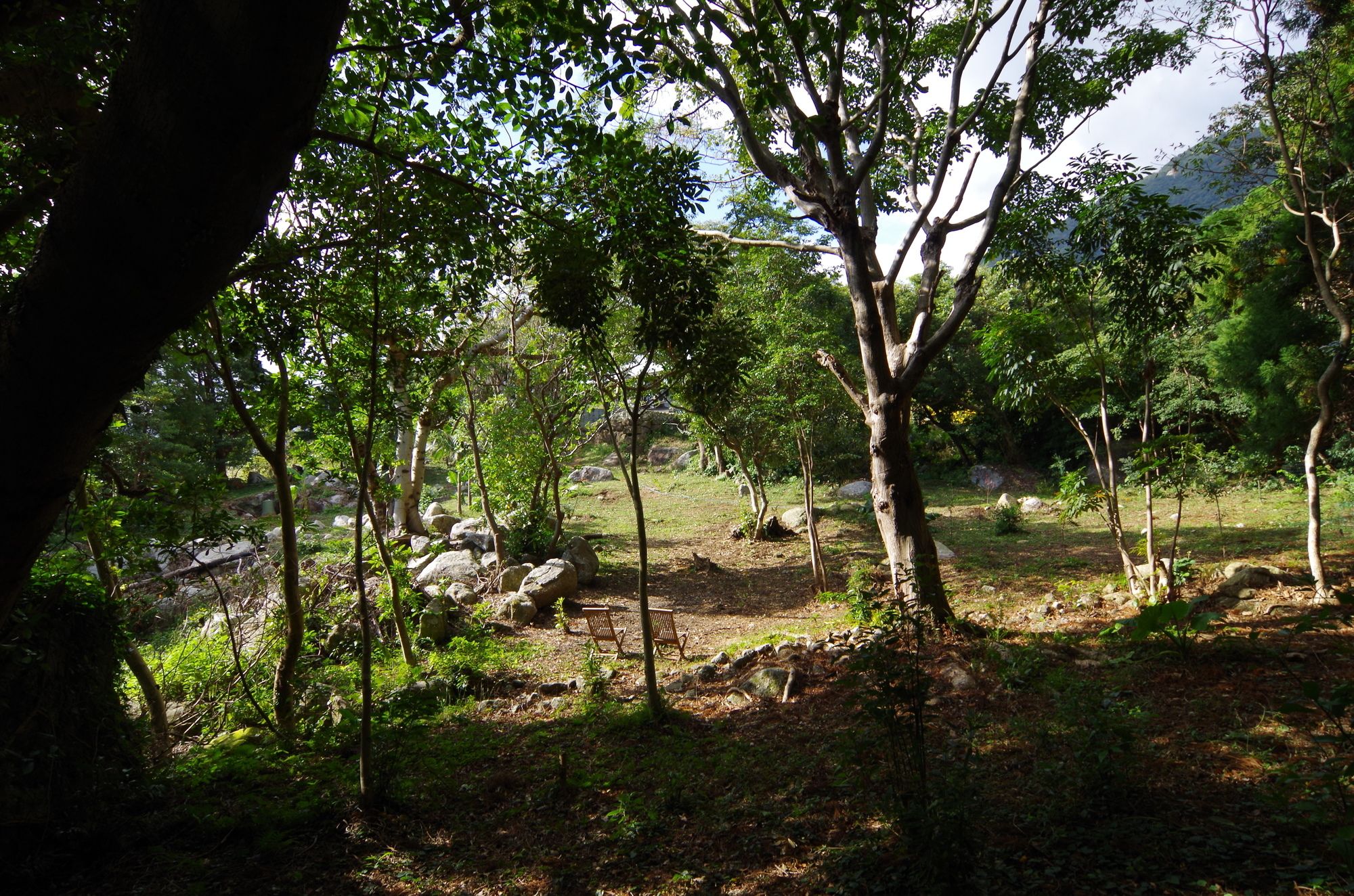 Guest House Views
