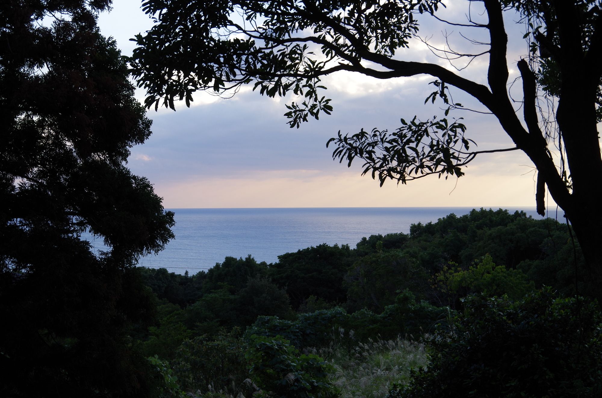 Guest House Views