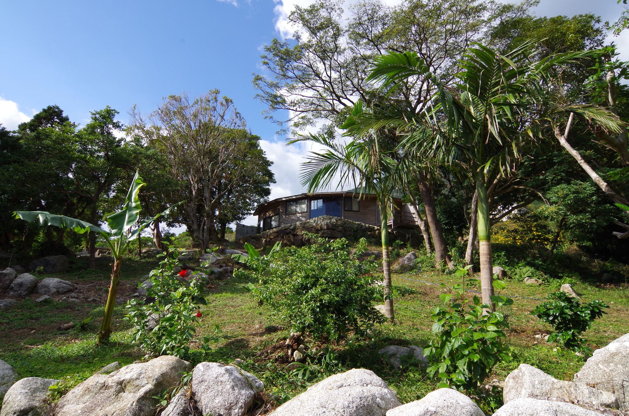 Guest House Views