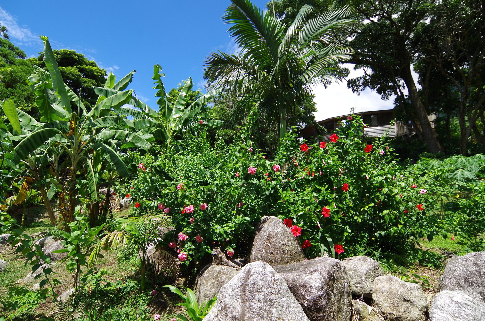 Guest House Views