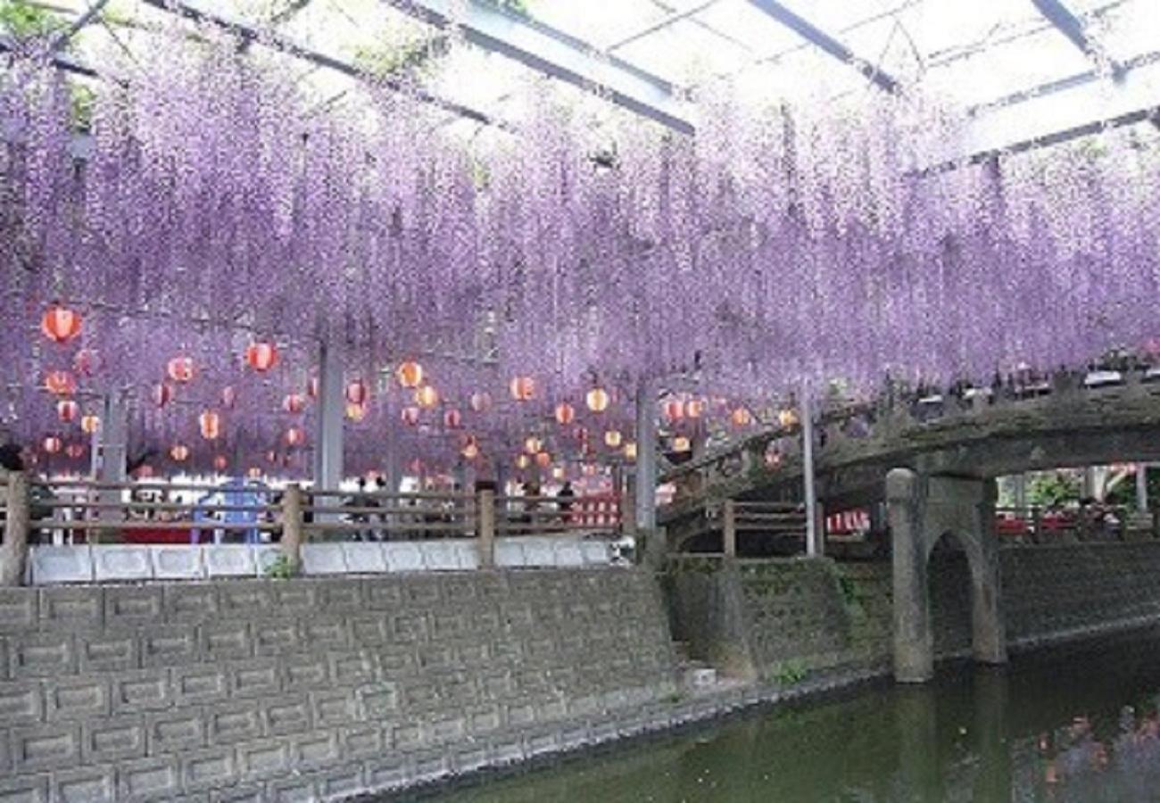 Hotel New Gaea Yanagawa