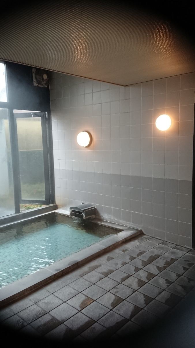 Benikea Yufuin Kinrinko Hotel Museum