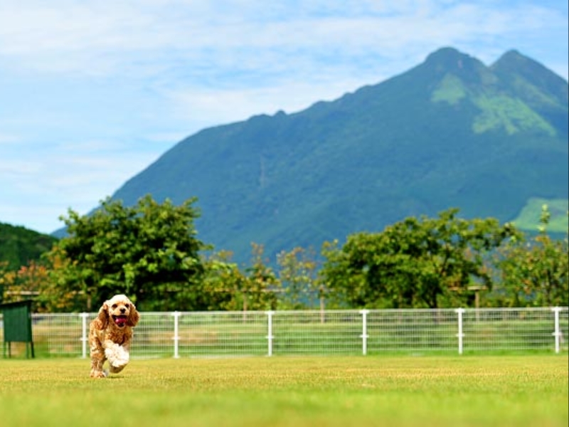 Dogrun & Resort Yufuin Garden Hotel