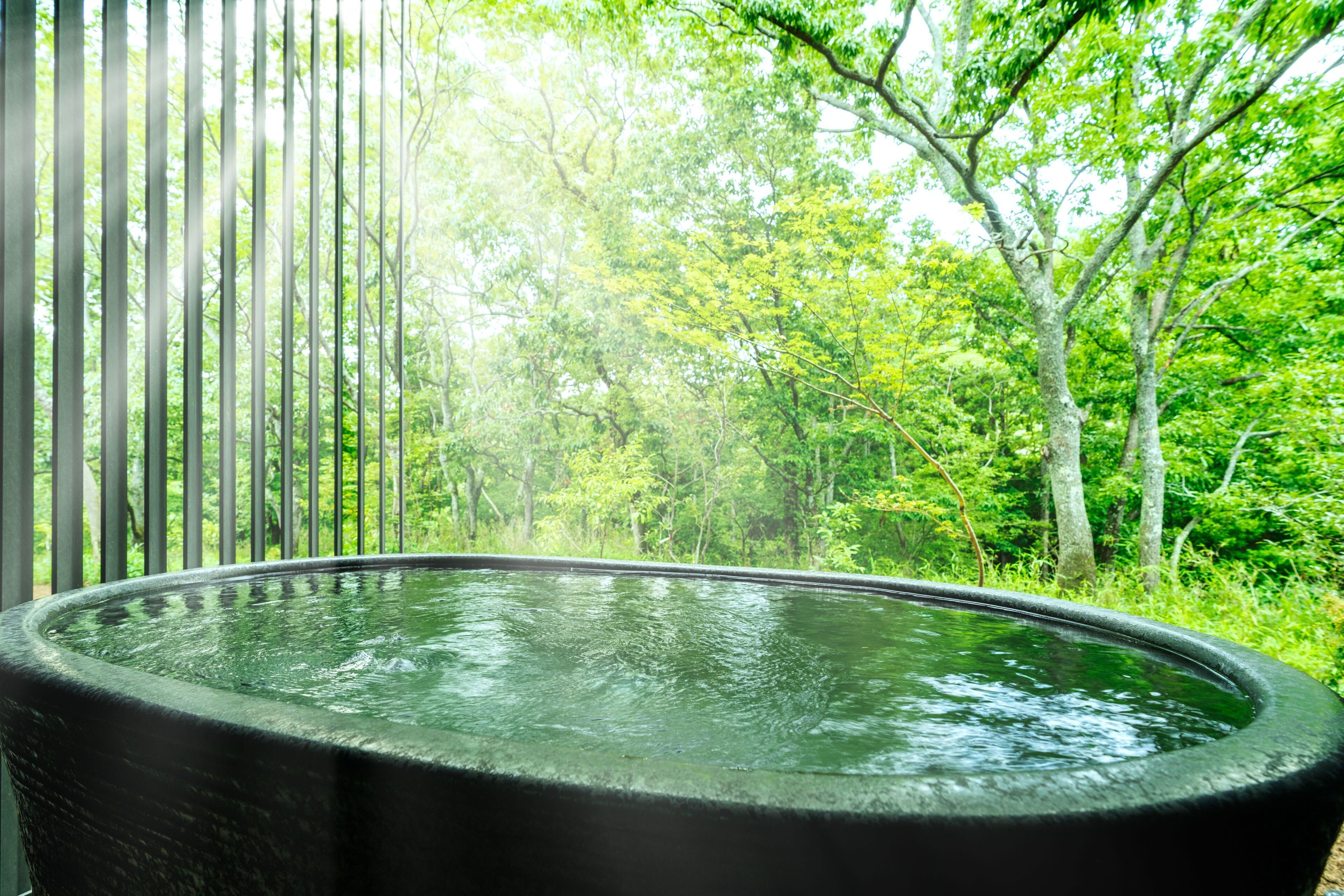 Hoshino Resort Kai Yufuin
