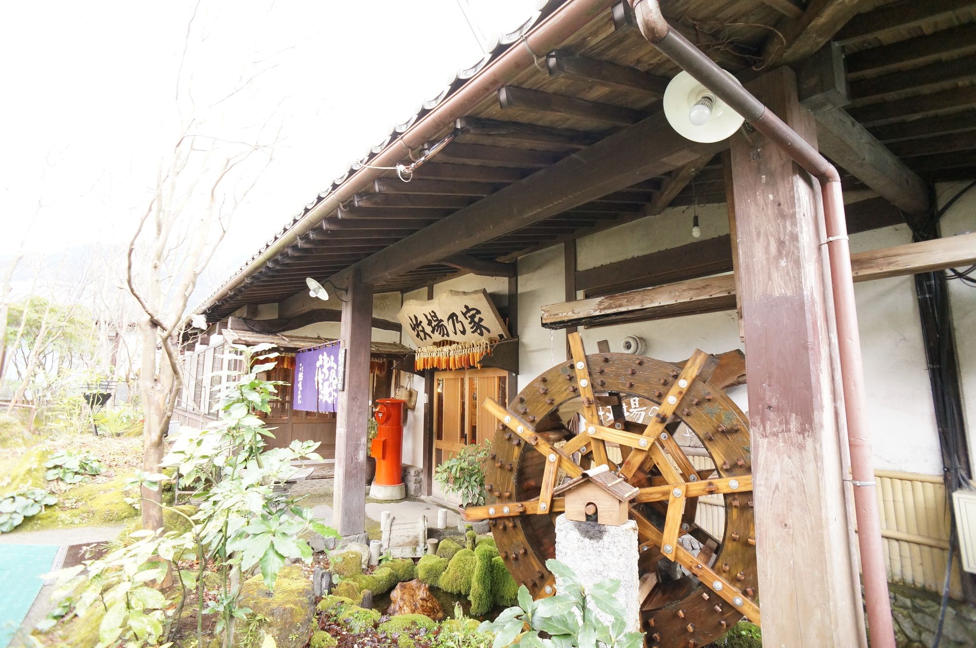 Makibanoie