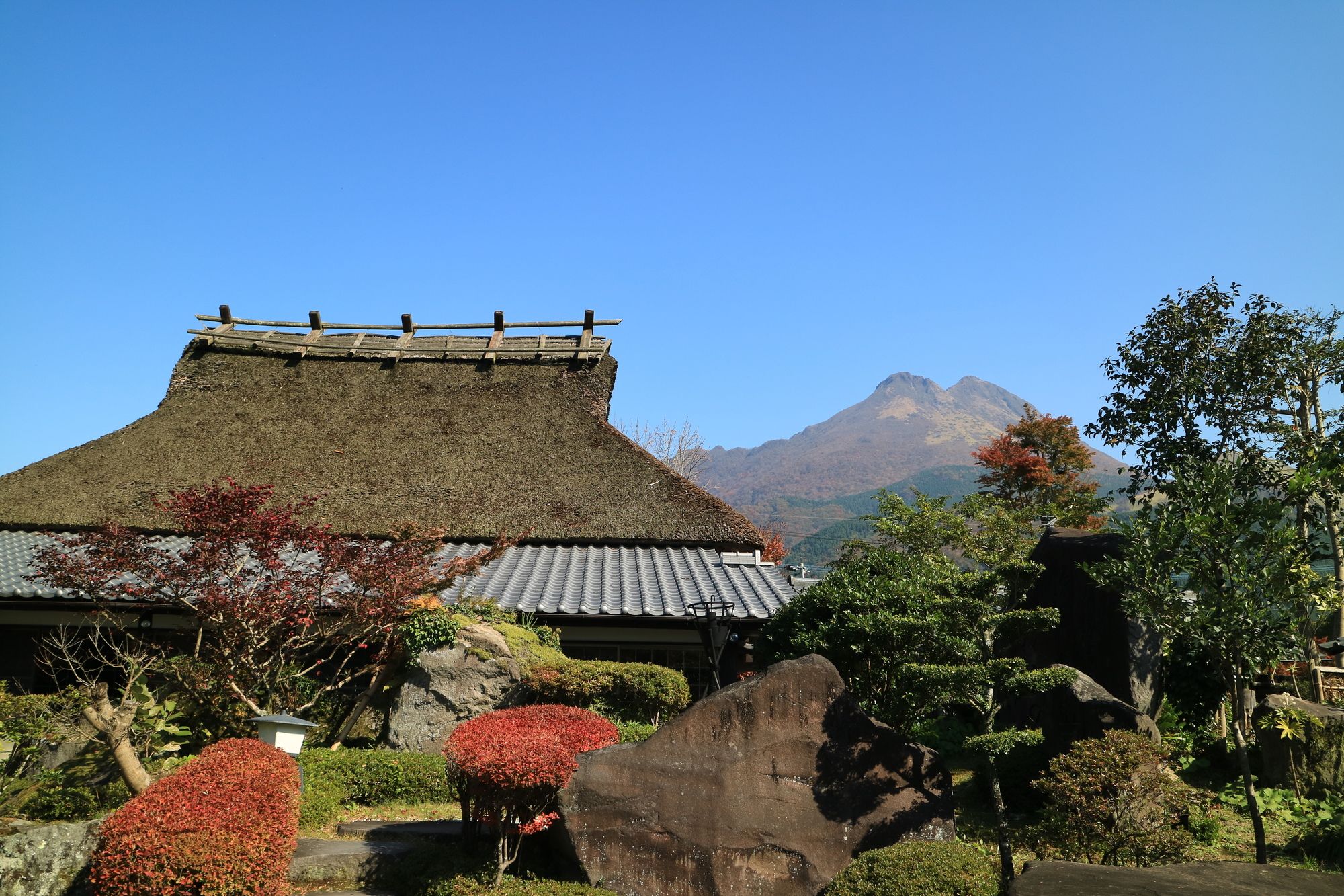 Makibanoie