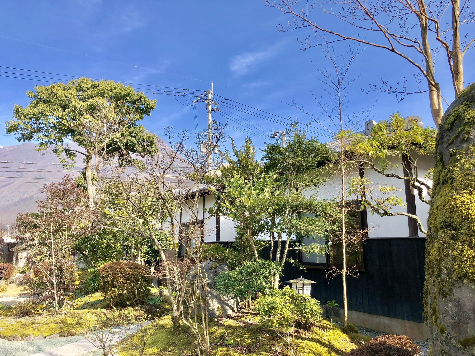 Makibanoie