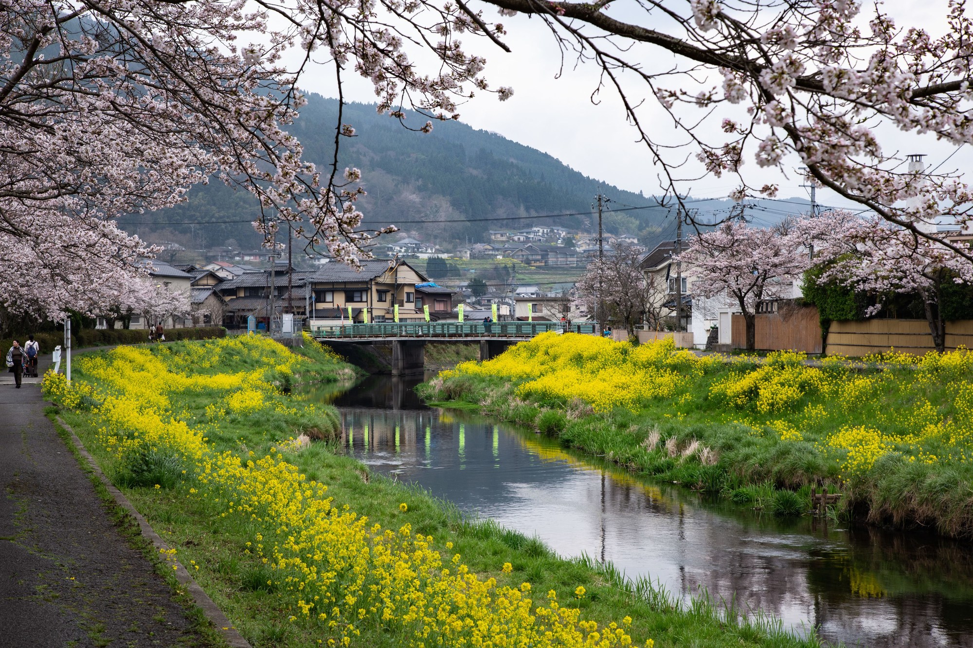 Yufuin Lodge Tabinokura