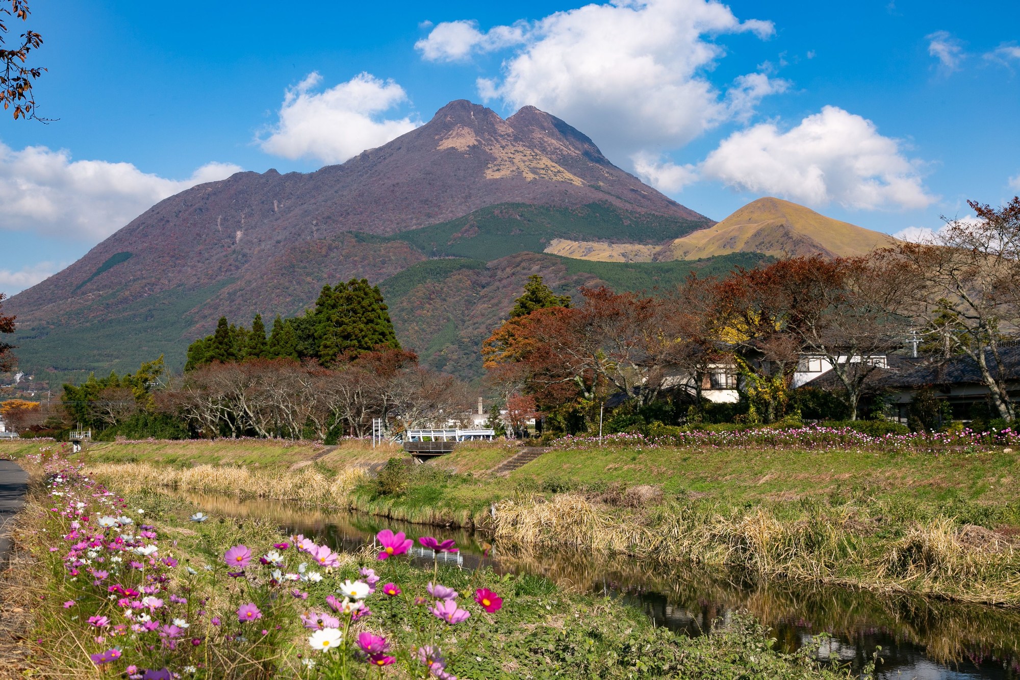 Yufuin Lodge Tabinokura